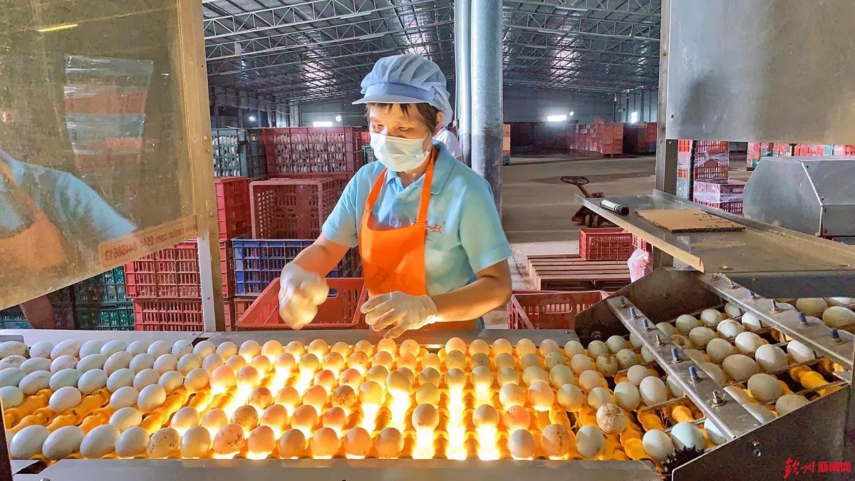 网眼看钦州|诚信食品企业开放日 &ldquo;零距离&rdquo;感受放心食品